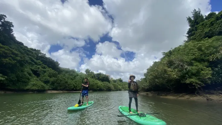 嘉手納の自然に囲まれながら楽しむマングローブSUPツアー