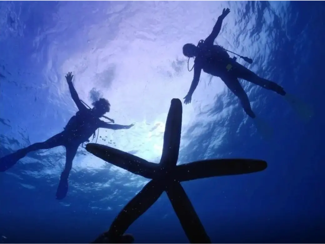 日帰りで行ける離島ツアーの、のんびりした雰囲気が伝わる写真