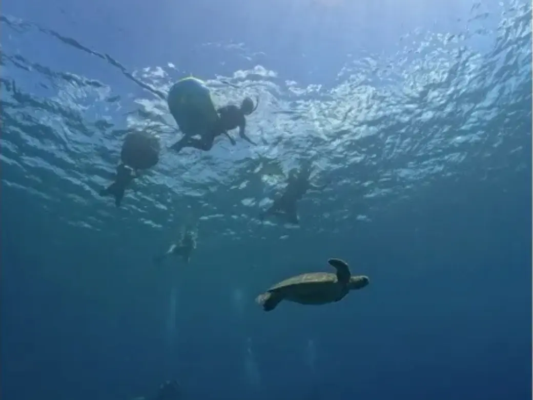 シンプルマリンサービスの水納島シュノーケルの雰囲気が伝わる写真