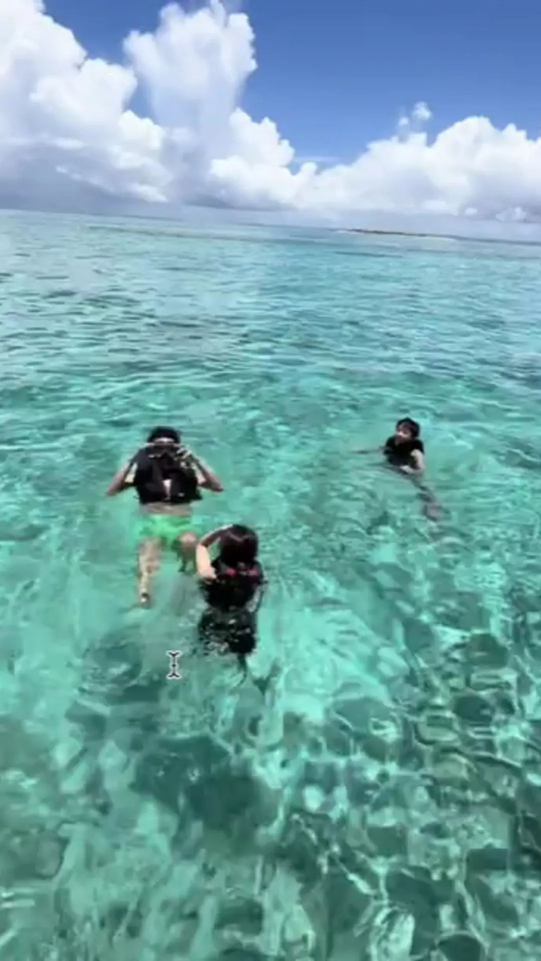 離島の透明な海でプレミアムシュノーケルを楽しむイメージ（MID MARINE）