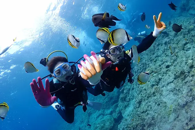 シマハロマリンサービスの完全貸切青の洞窟ダイビングでインストラクターと海中を楽しむ様子