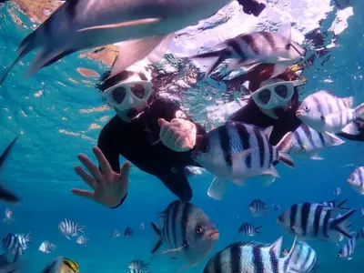 シマハロのツアー中に撮影してもらえる写真と動画のイメージ