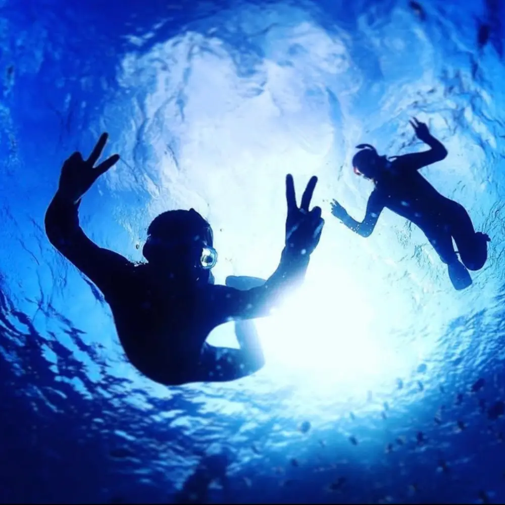 水中から見上げるシュノーケルのシルエット