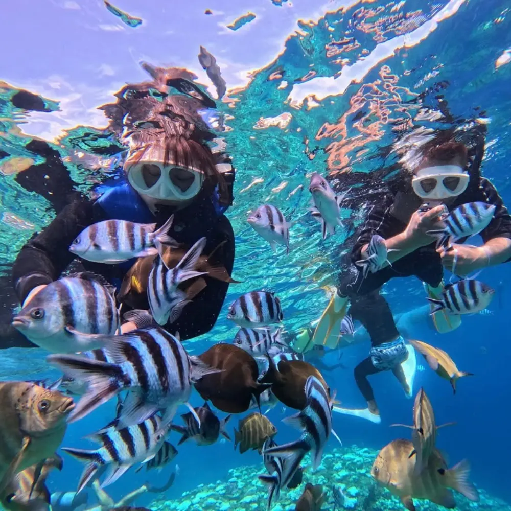熱帯魚がたくさん泳ぐ海でシュノーケリングを楽しむイメージ