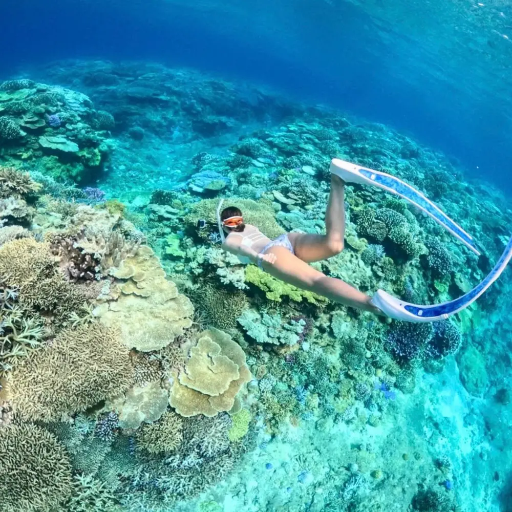 ソルキスのギャラリー画像2。慶良間の海を楽しむツアーの様子。