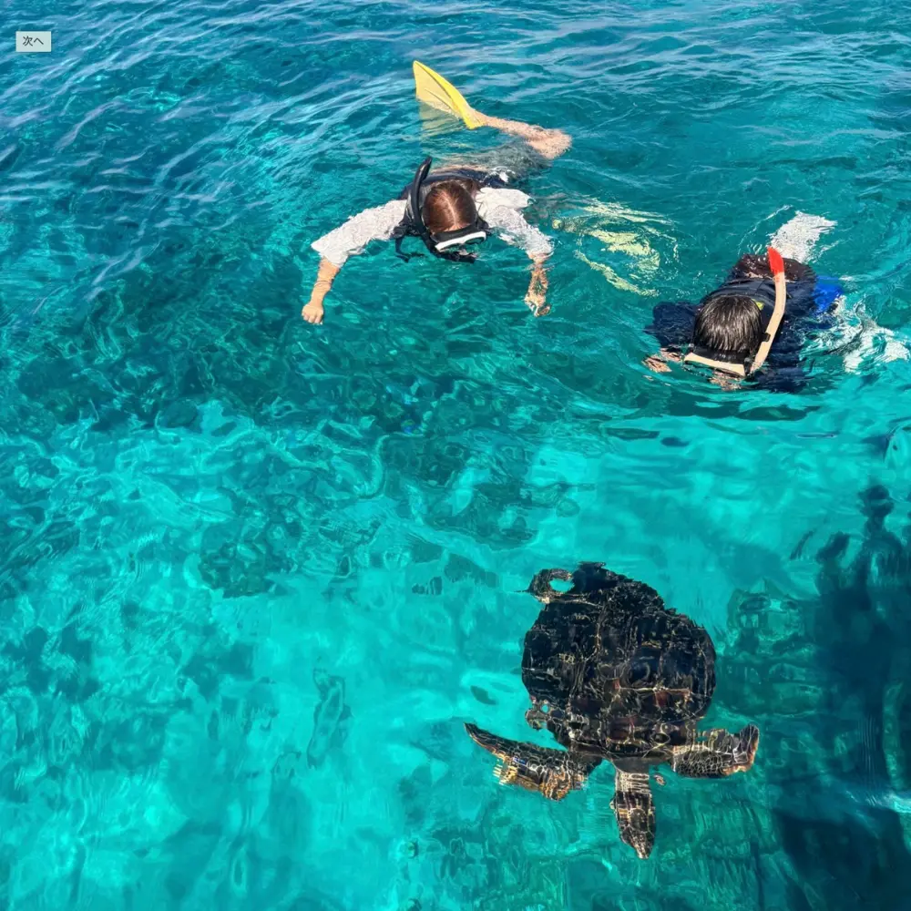 慶良間体験ダイビング＆シュノーケリングの画像8。家族や仲間と海を楽しむ様子。
