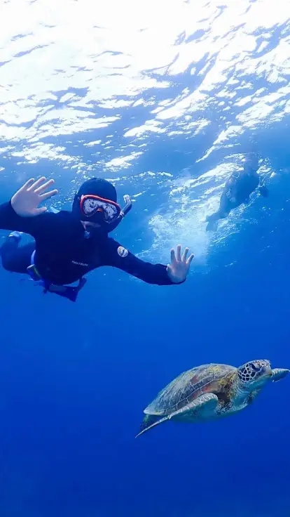 ソルキスのギャラリー画像11。沖縄の海あそびを楽しむ様子。