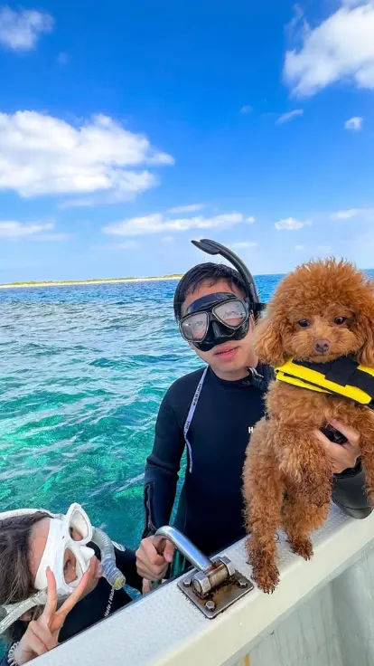 ソルキスの貸切プランでペットも一緒に楽しめるツアーイメージ