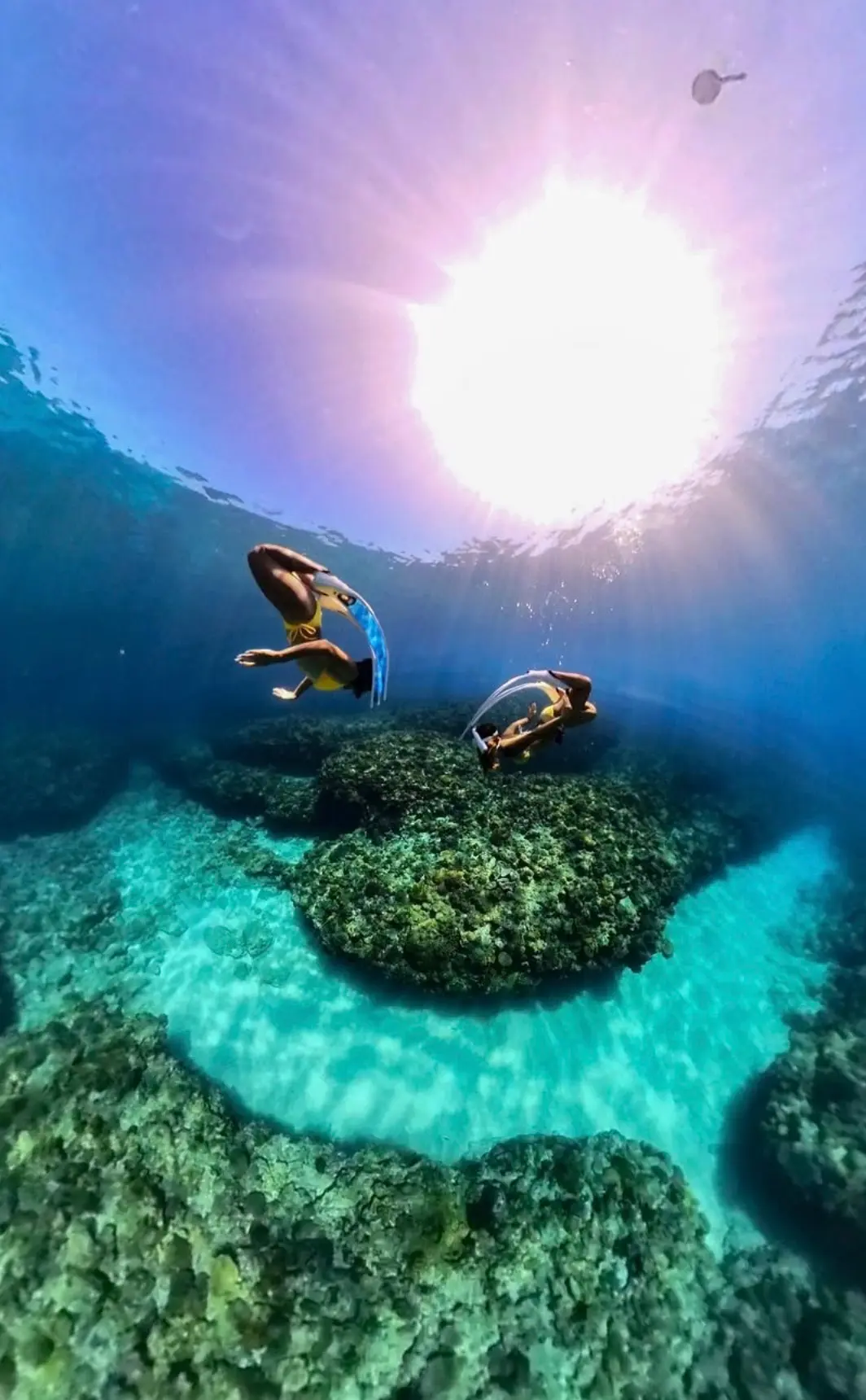 慶良間ウミガメシュノーケリング＆スキンダイビングのイメージ