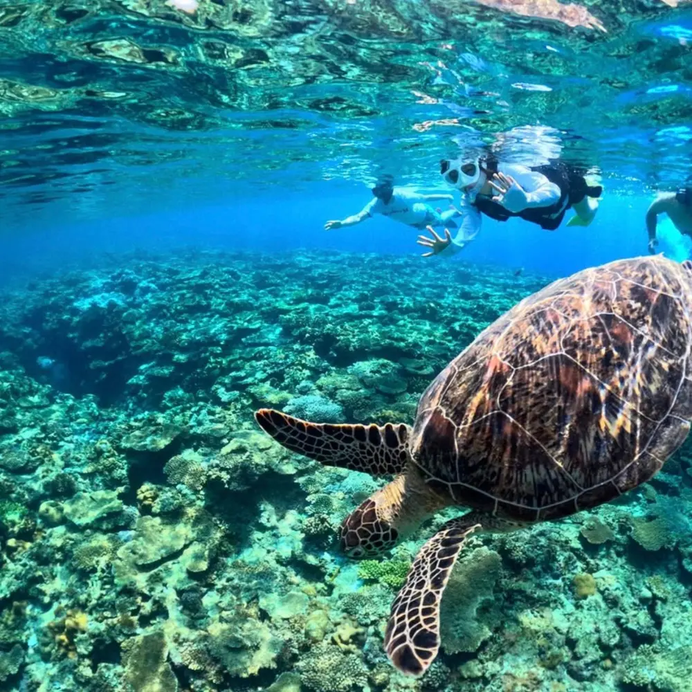 慶良間体験ダイビング＆シュノーケリングの画像6。沖縄の海をのびのび楽しむ様子。