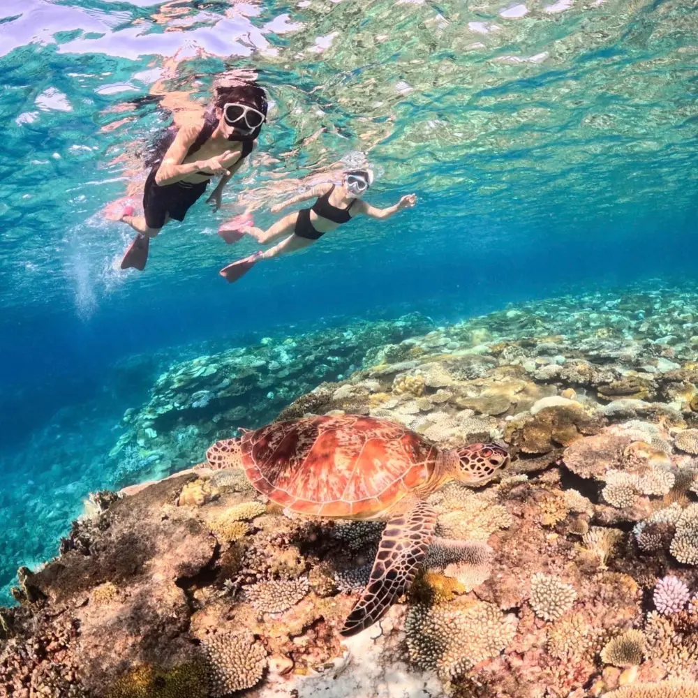 ソルキスのギャラリー画像3。沖縄の青い海で遊ぶ参加者の様子。