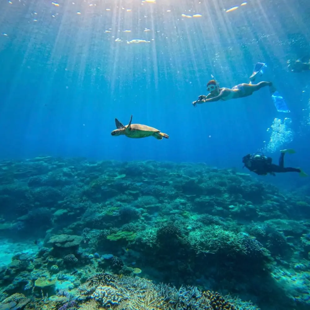 ソルキスのギャラリー画像1。沖縄の海あそびを楽しむ様子。