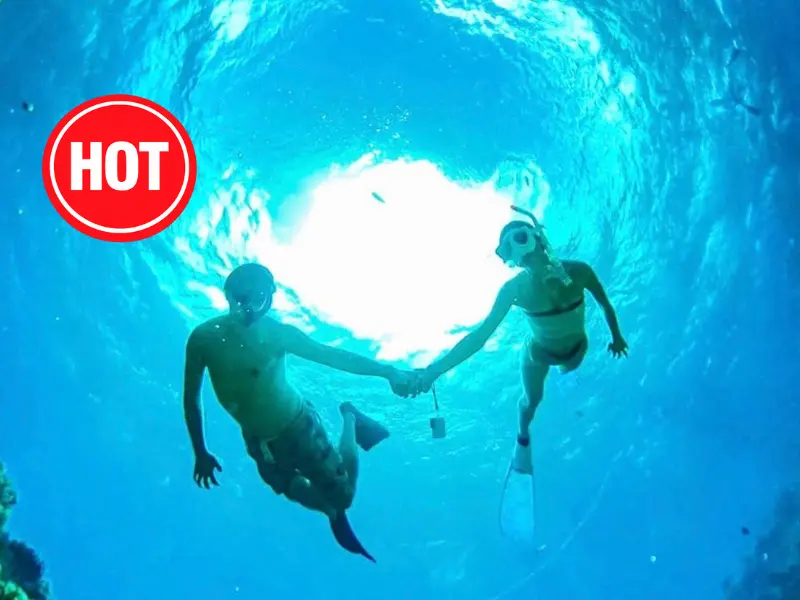 ソルキス特集ページ