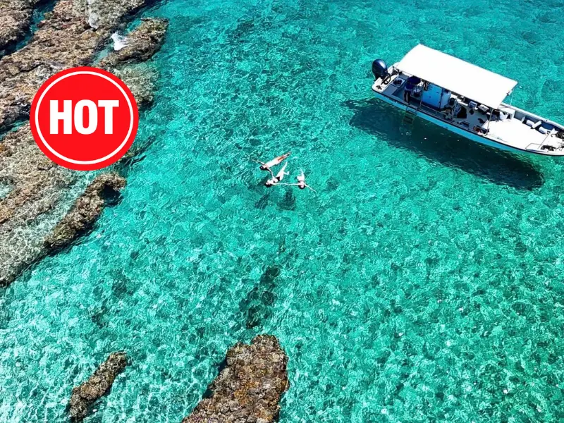 ソルキス特集ページ