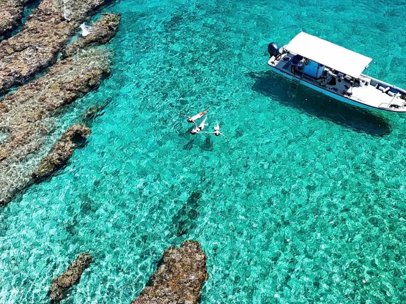 ソルキス特集ページ