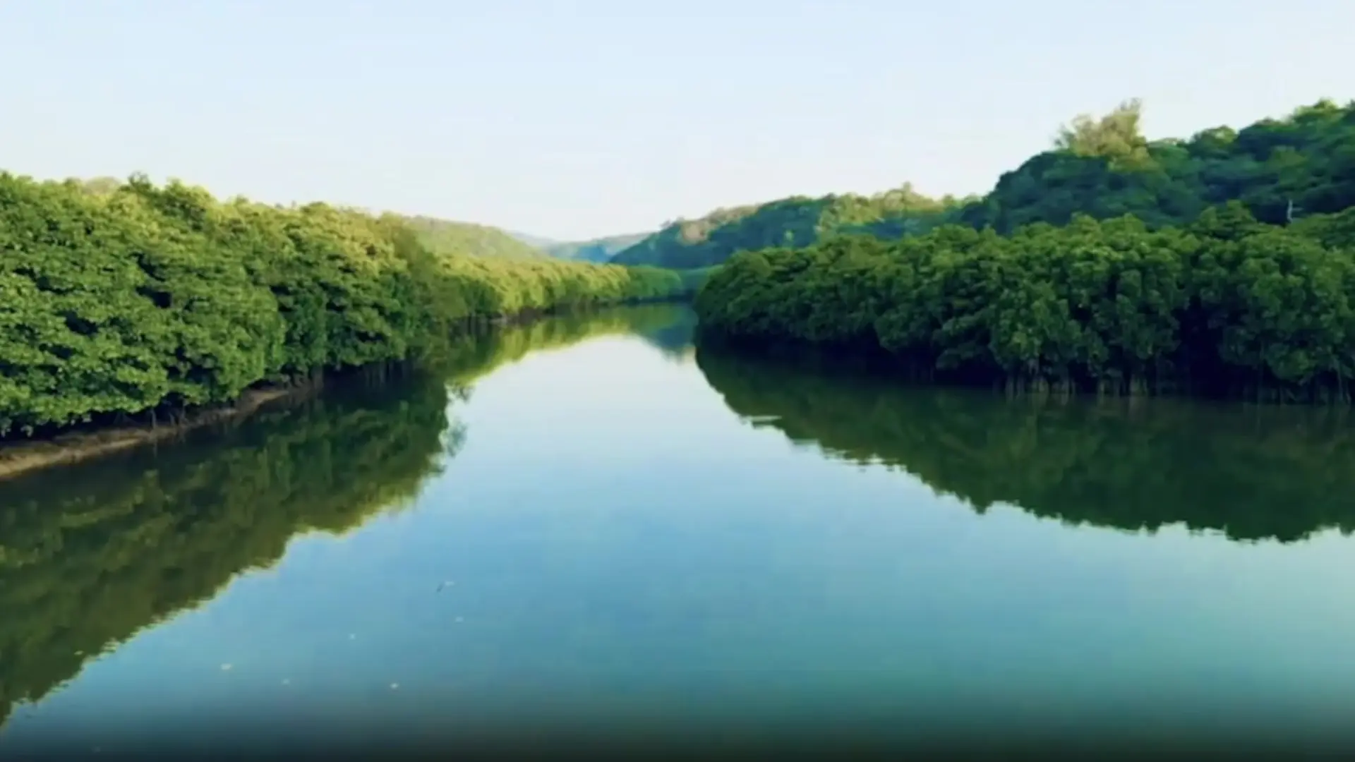 世界自然遺産｜やんばるの森と川を楽しむ体験ツアー - 沖縄