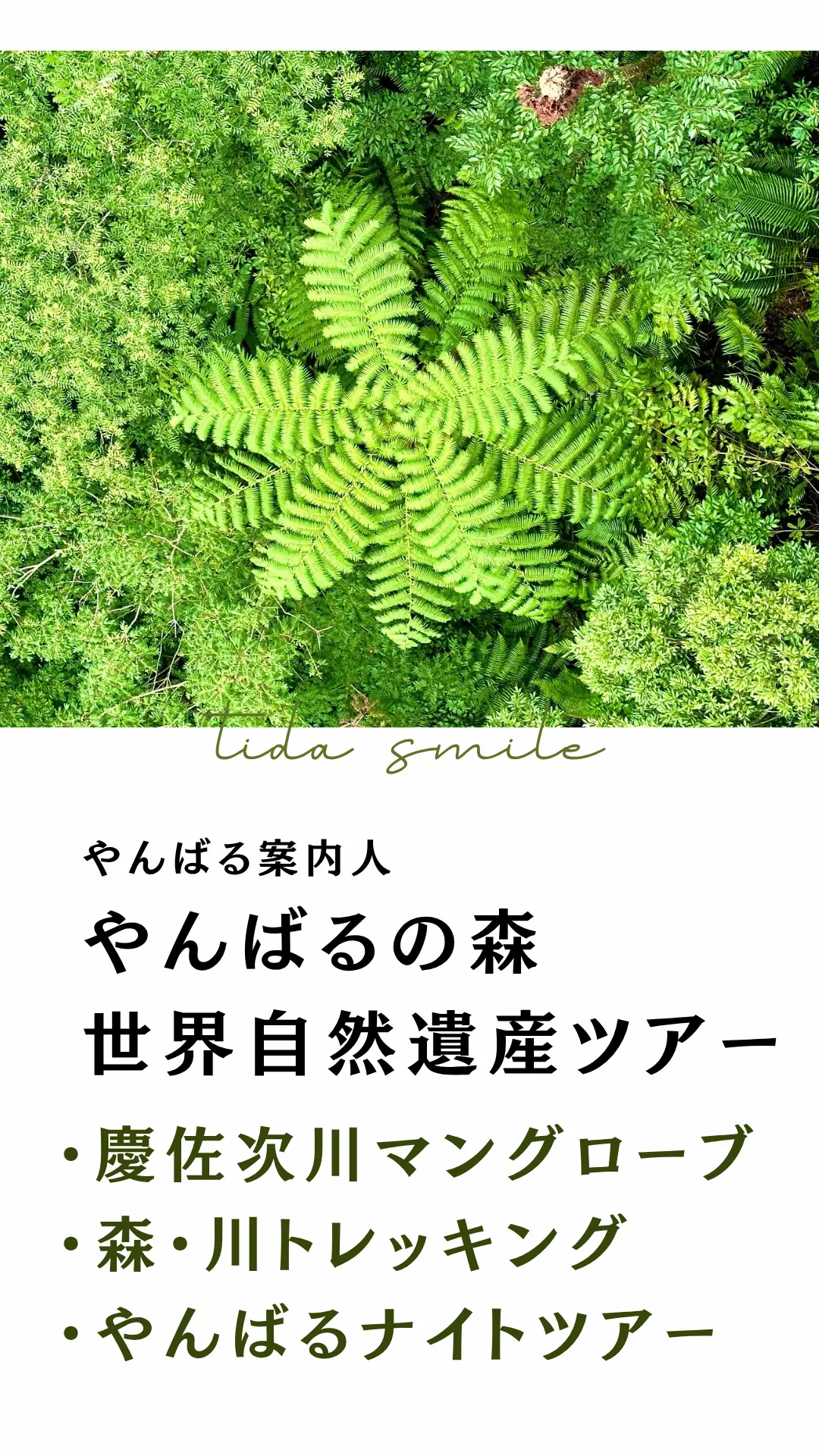 やんばる案内人Tida-Smileのやんばる秘境ツアー