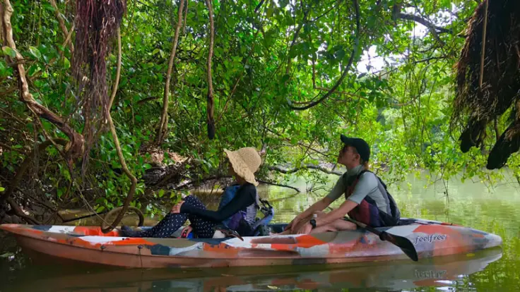 海あしび・海うさぎのマングローブカヤック体験の様子