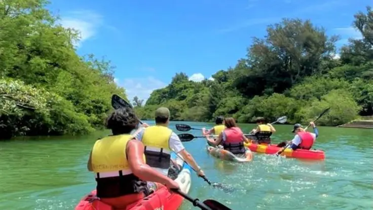比謝川のマングローブカヤック体験の様子