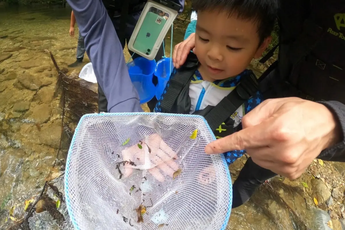 わくわく屋 沖縄のファミリーリバートレッキングイメージ4。川遊びを楽しむファミリープランの様子。