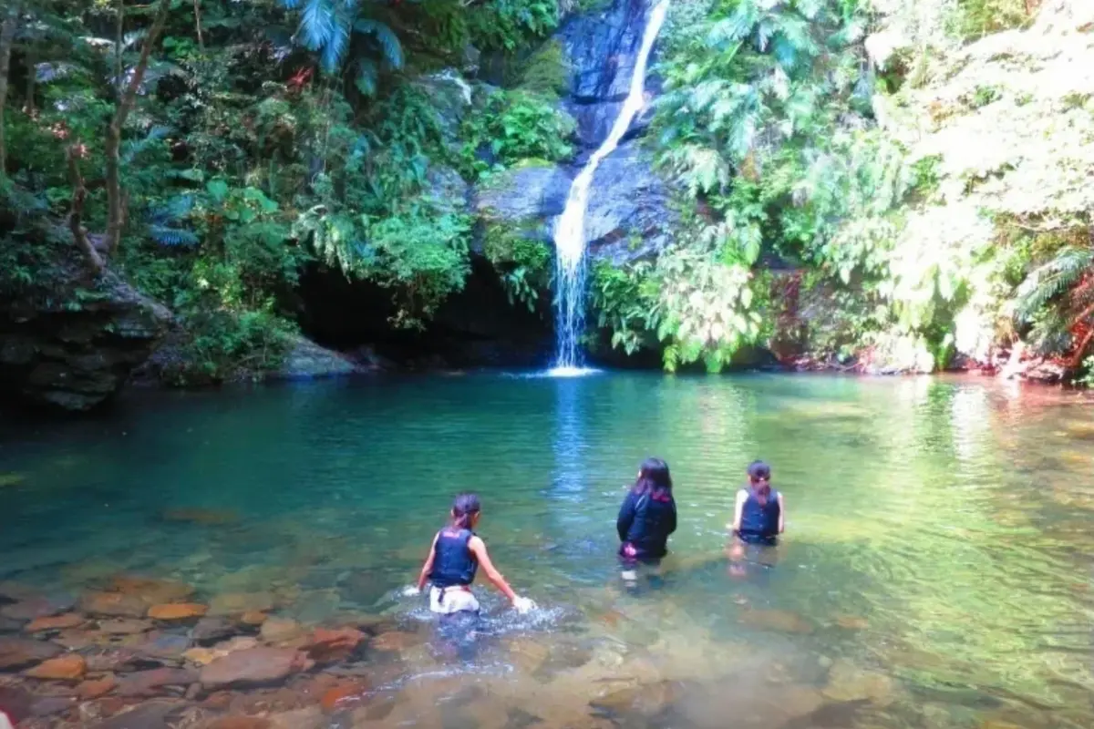 わくわく屋 沖縄のギャラリー画像5。家族で自然体験を楽しむ様子。