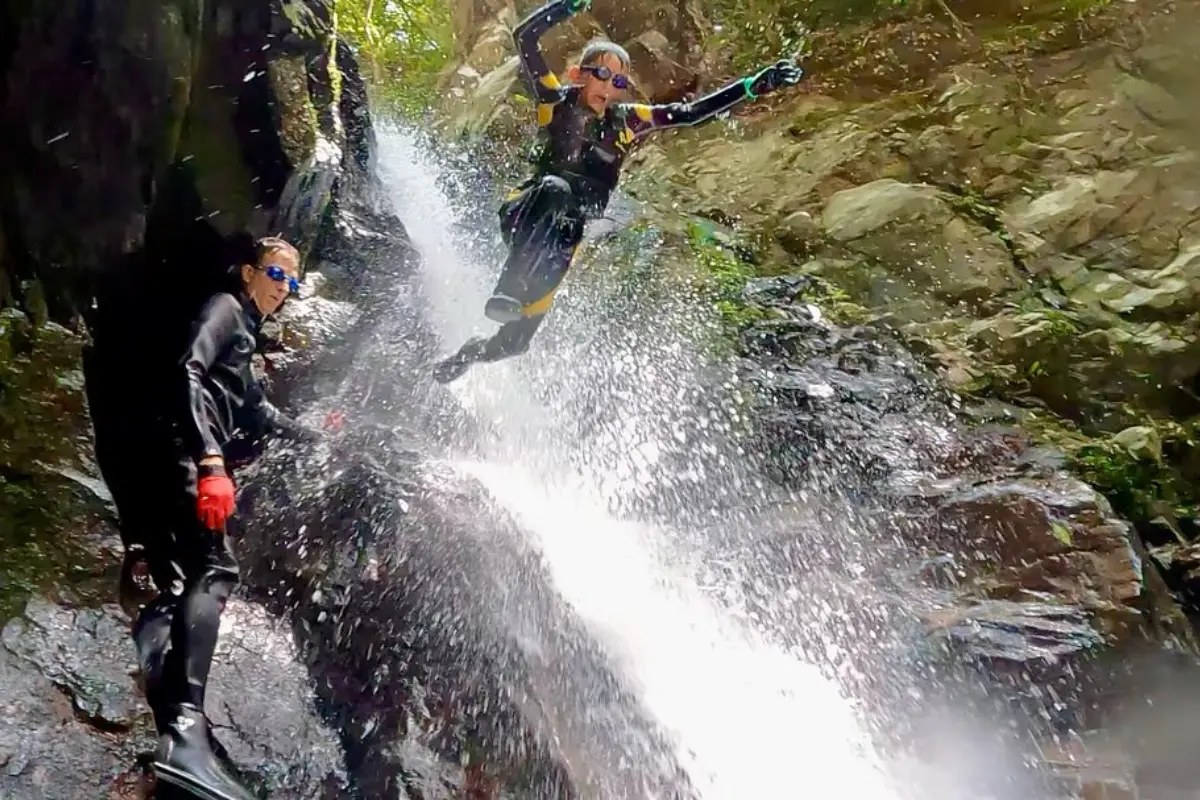 わくわく屋 沖縄のギャラリー画像10。やんばるの川や森を楽しむツアーイメージ。