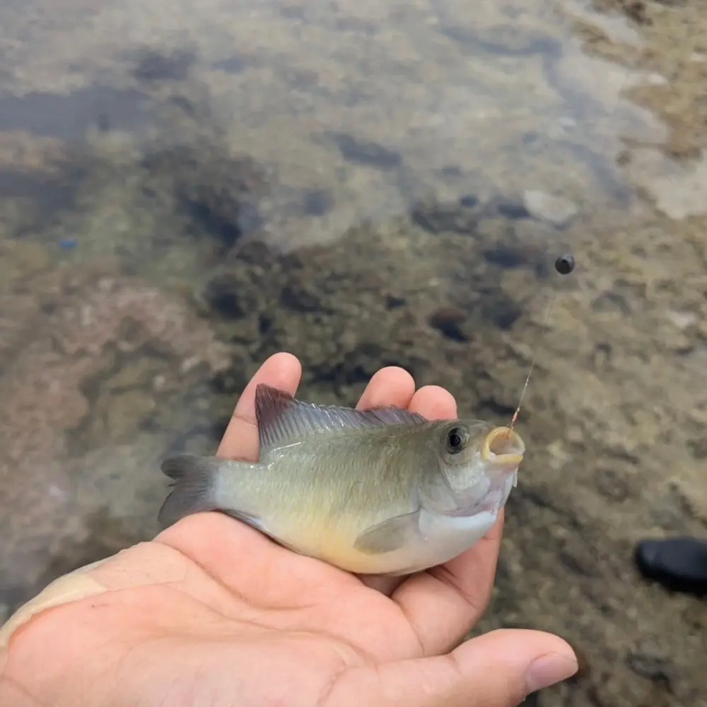 ゆしゆしの体験イメージ12