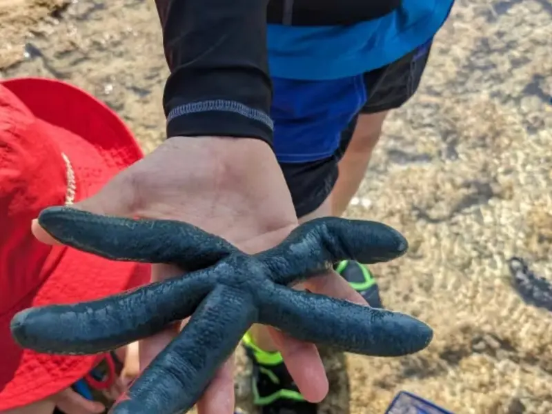 ゆしゆしの体験イメージ15