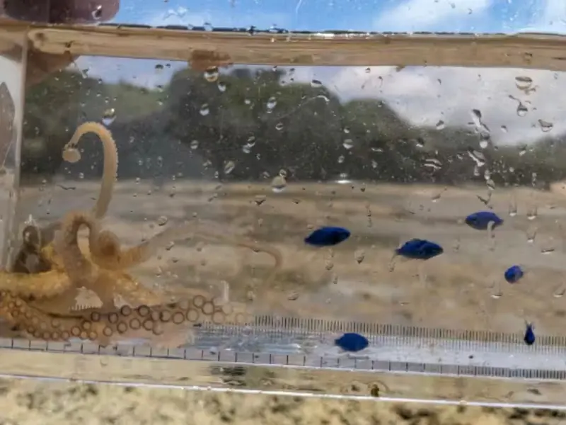 ゆしゆしの体験イメージ17