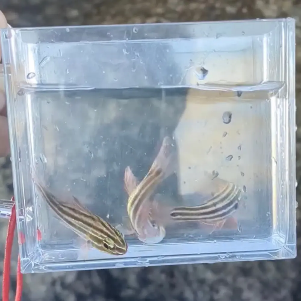 ゆしゆしの体験イメージ5