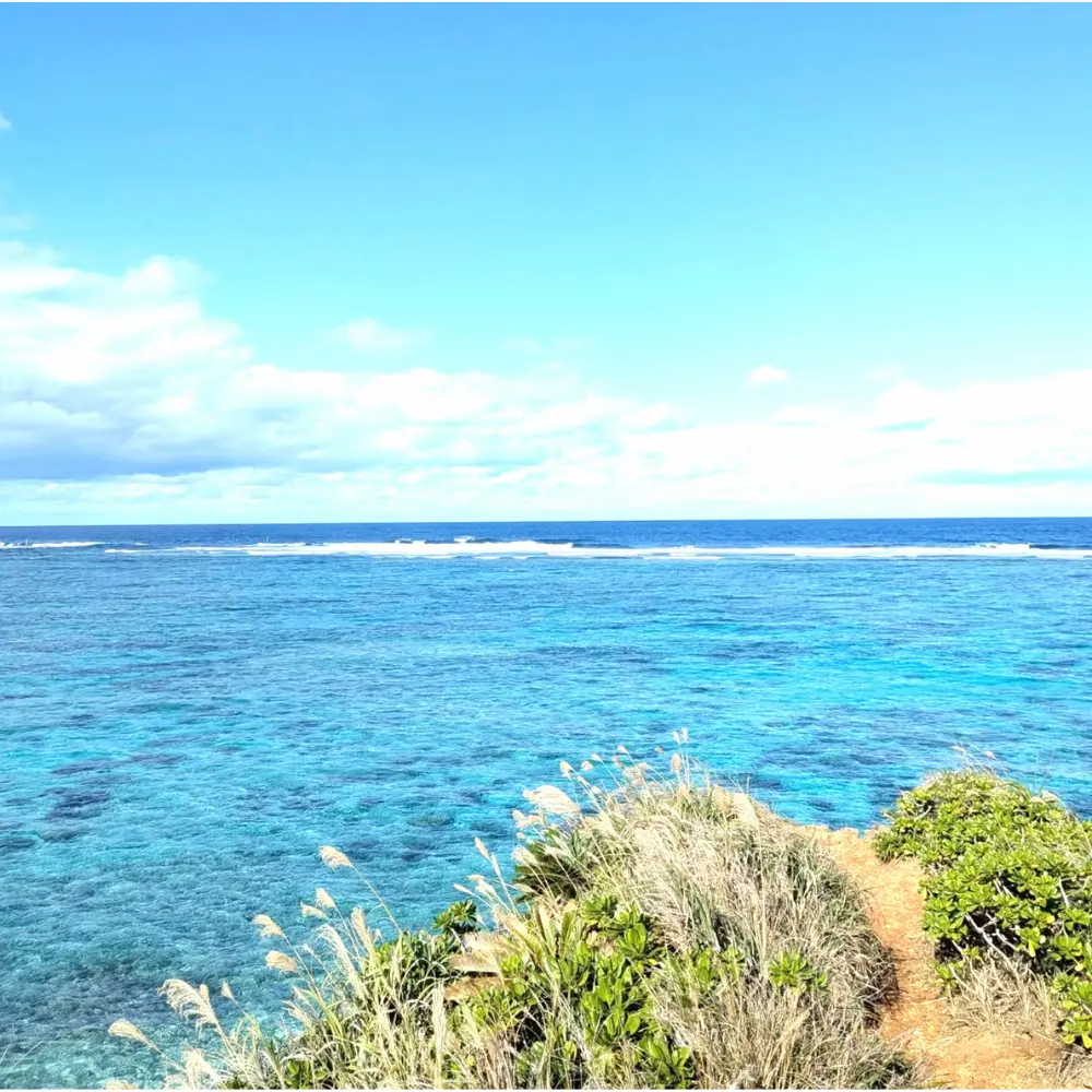 ゆしゆしの体験イメージ7