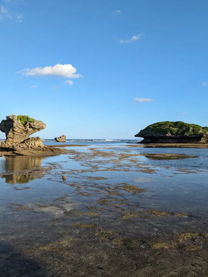 ゆしゆしの磯遊び