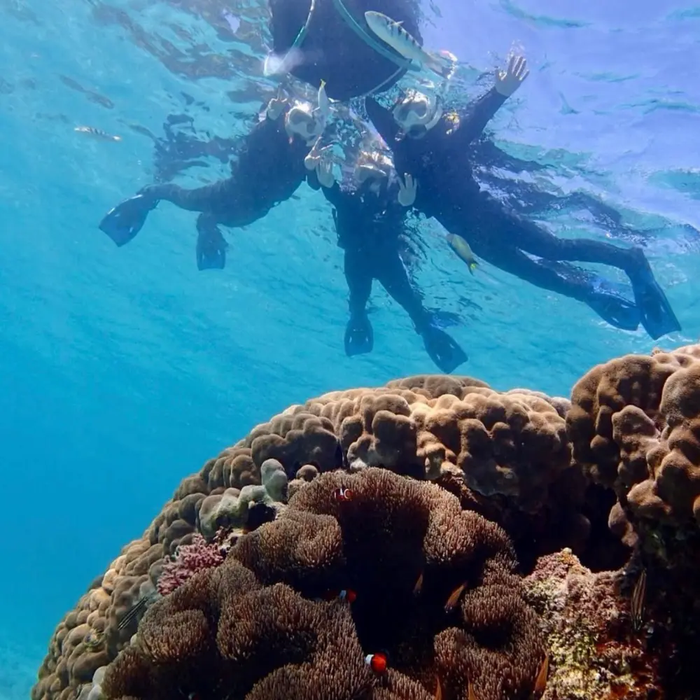 ネイチャーサービスアンダゴの1組貸切ガイド。家族やグループのペースに合わせて案内しているイメージ