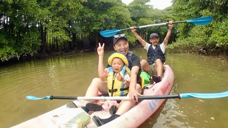 マングローブカヤックの様子（木々のトンネルをくぐるように進む）