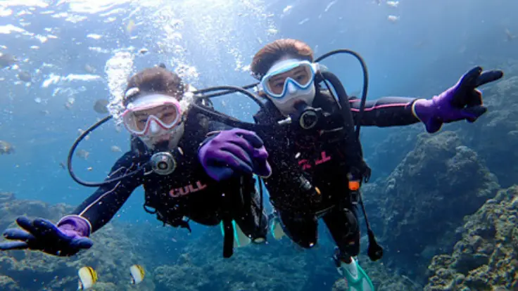 沖縄の海で体験ダイビングを楽しむイメージ
