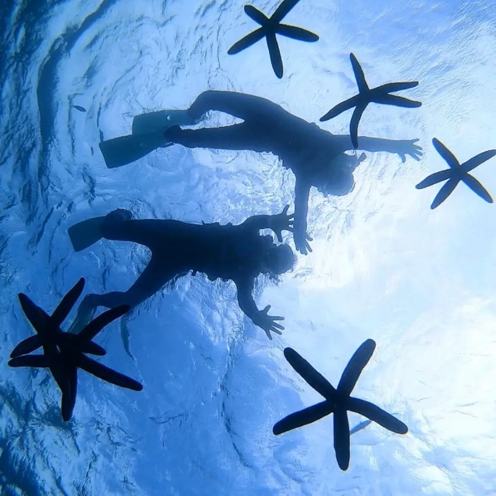 シンプルマリンサービスがその日の海に合わせて遊び方を提案してくれるイメージ