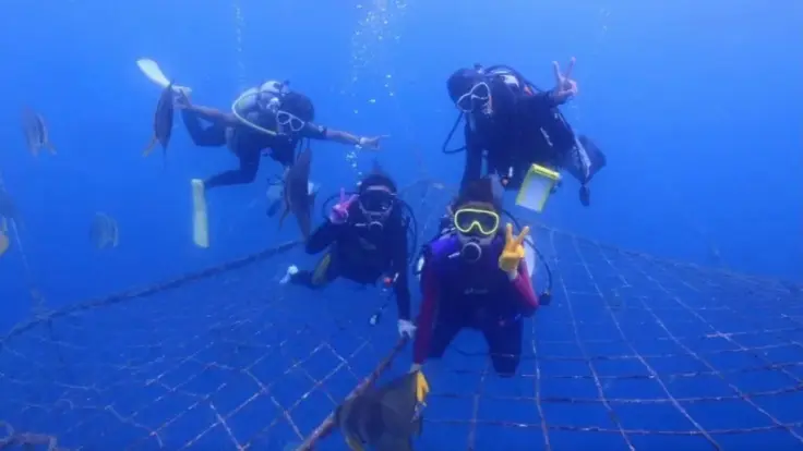 インストラクターがそばにつきながら体験ダイビングをサポートしている様子